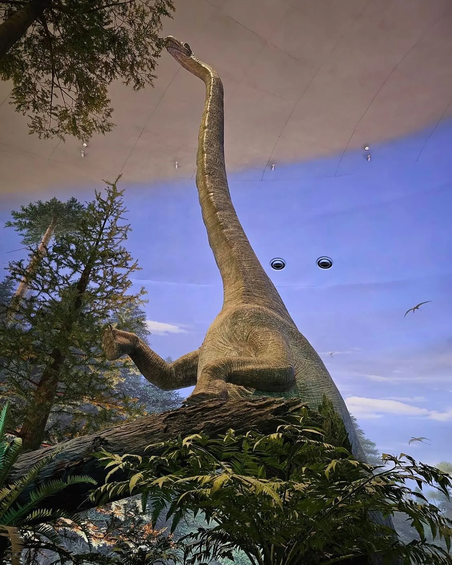 恐竜博物館🦕