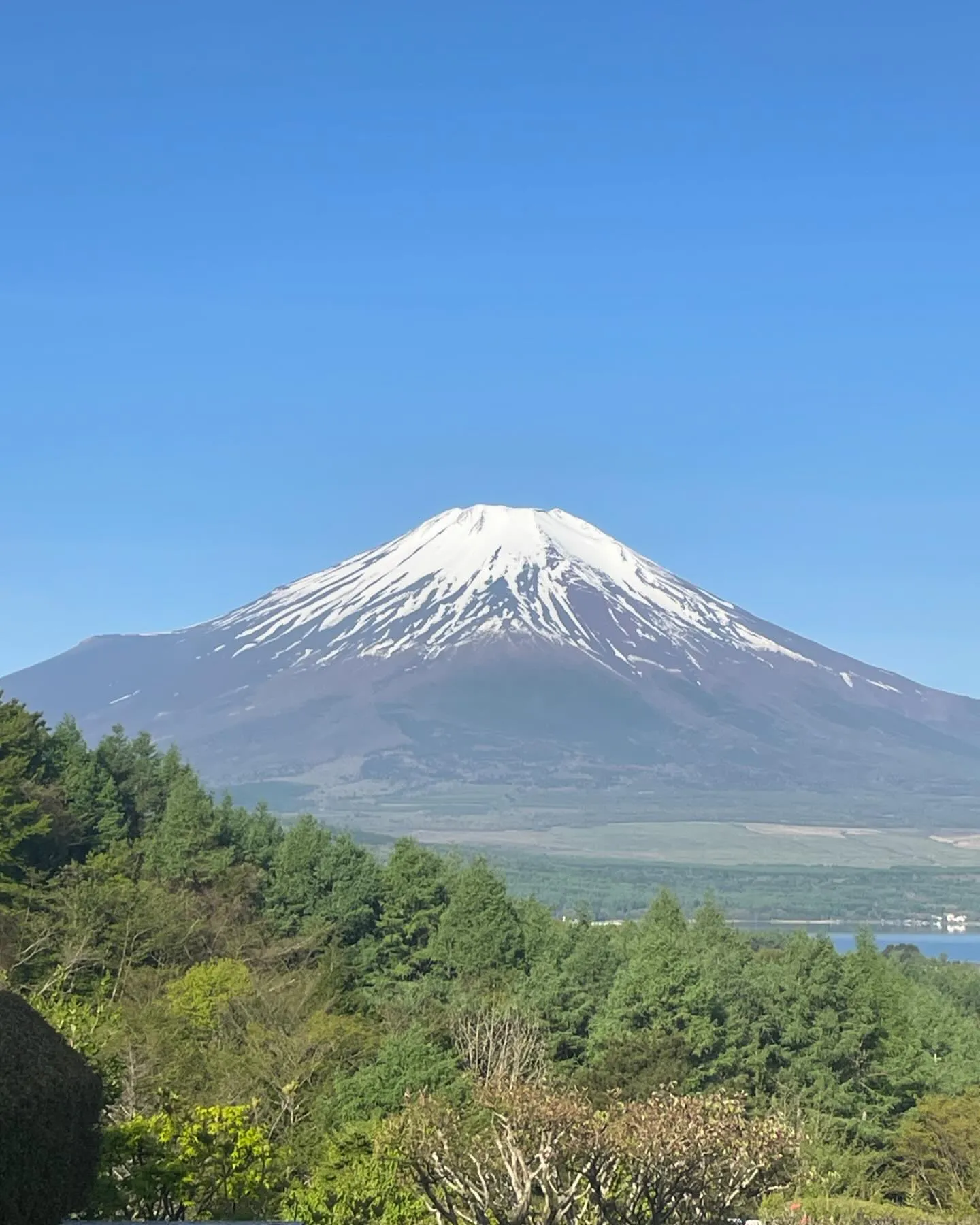 吉田のうどん🍲