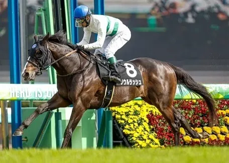 安田記念🏇