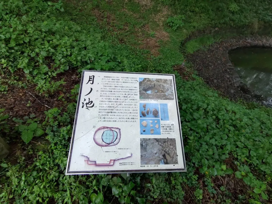 城攻め2025第2弾🏯