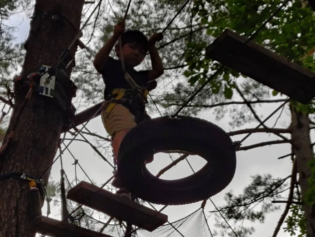 草津フォレストステージ🌲