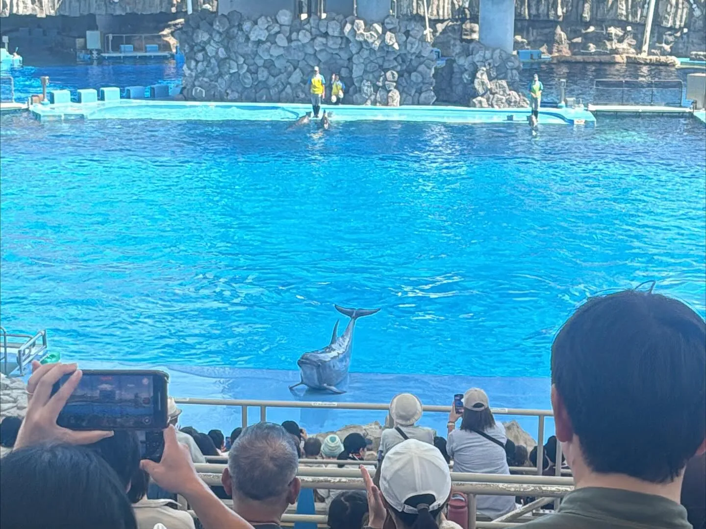 名古屋港水族館🐬