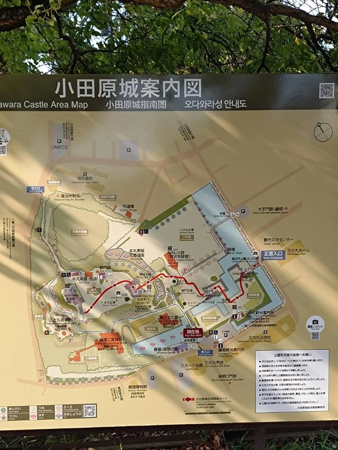 城攻め2025夏第3弾🏯