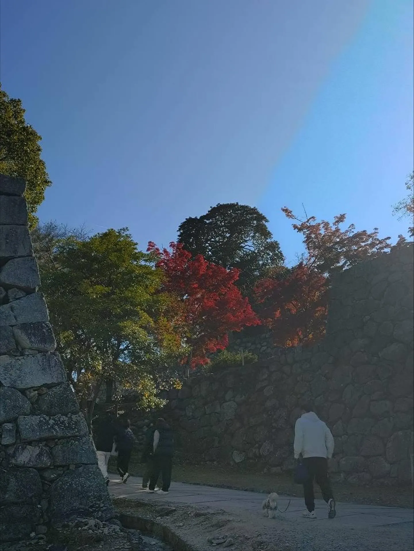 2025秋の城攻め&5年ぶりのフェリー🚤