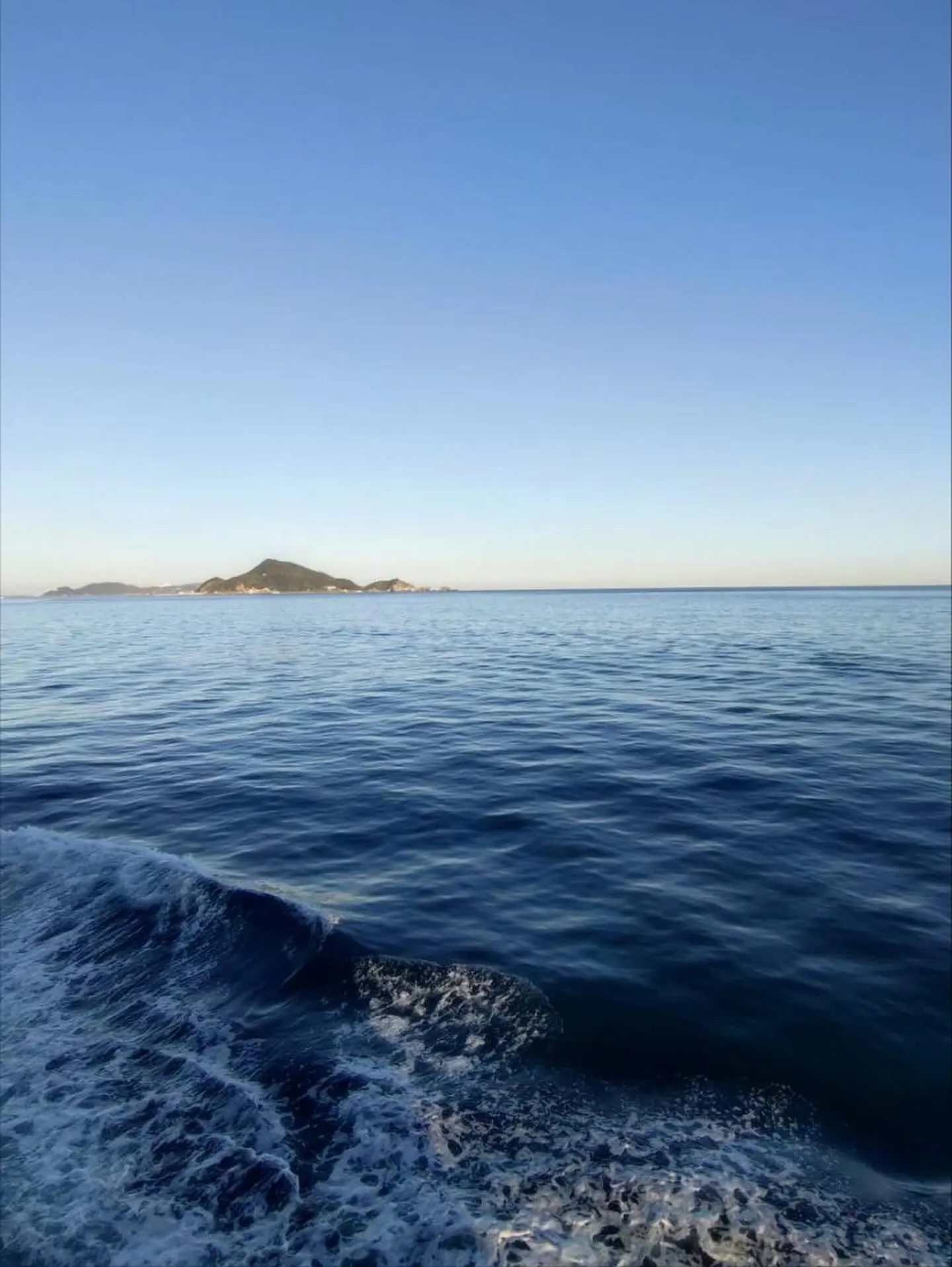 2025秋の城攻め&5年ぶりのフェリー🚤