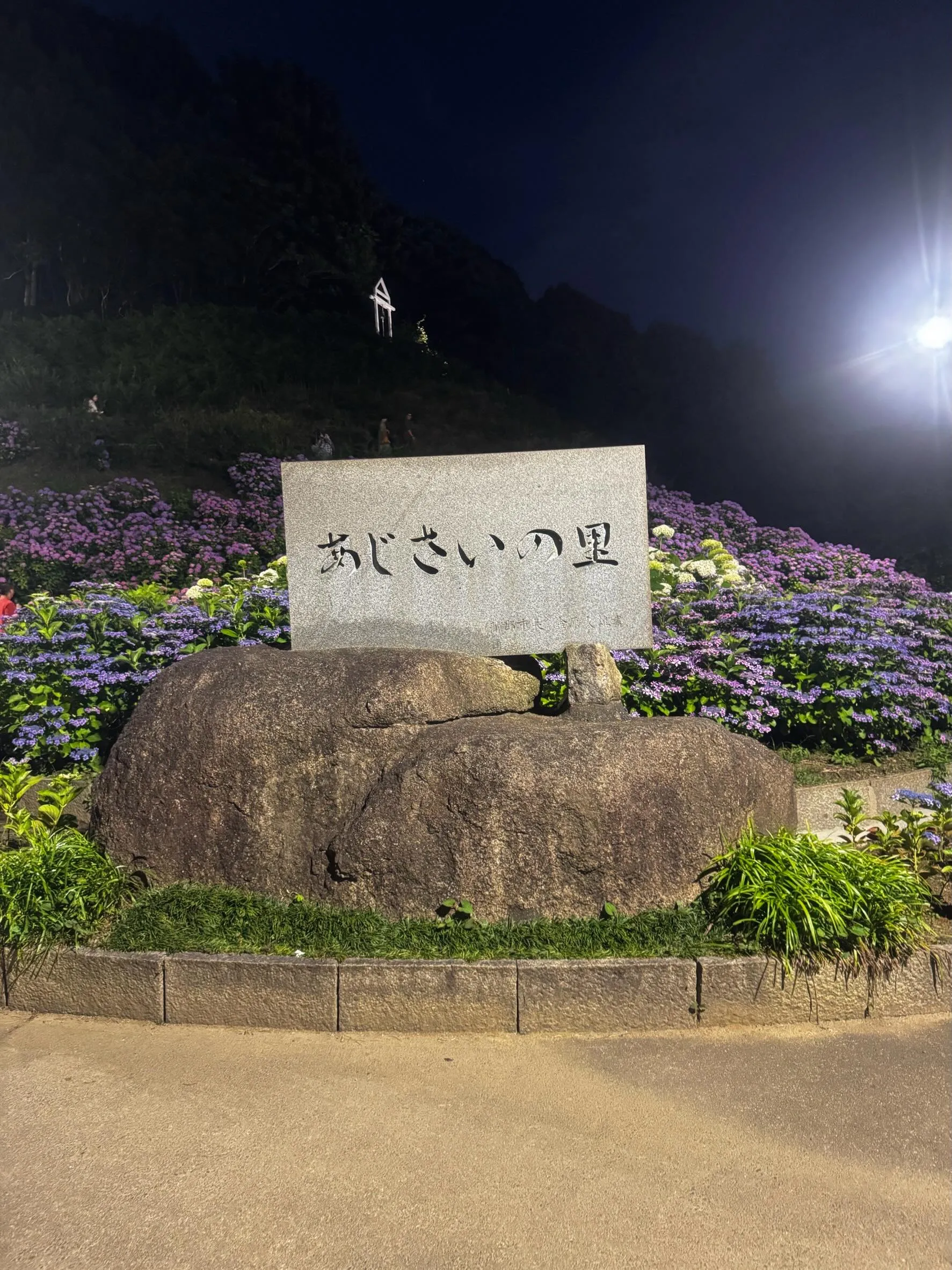 あじさい祭り